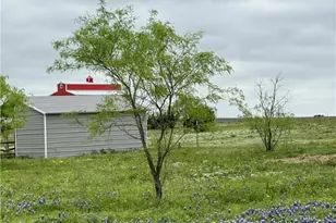 2238 County Rd 2109, Lometa, TX 76853 - Photo 38