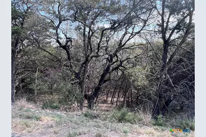 4079 Sherwood Drive, Belton, TX 76513 - Photo 2