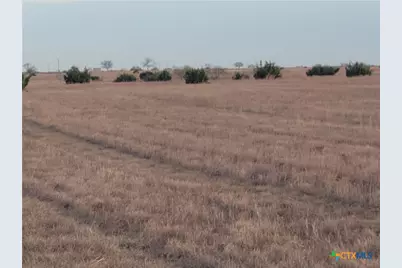 4453 County Road 619, Hamilton, TX 76531 - Photo 6