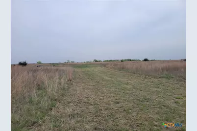 4453 County Road 619, Hamilton, TX 76531 - Photo 14