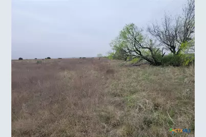 4453 County Road 619, Hamilton, TX 76531 - Photo 16