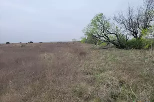 4453 Co Rd 619, Hamilton, TX 76531 - Photo 16