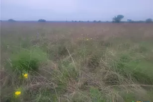 4453 Co Rd 619, Hamilton, TX 76531 - Photo 24