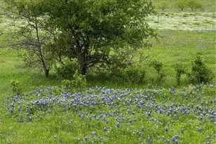 2332 2109, Lometa, TX 76550 - Photo 12