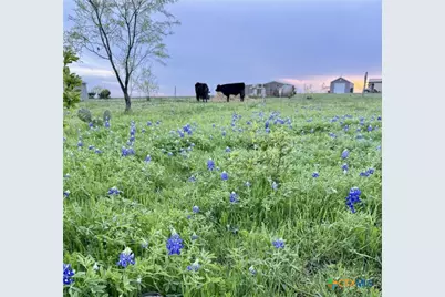 2332 2109, Lometa, TX 76550 - Photo 8
