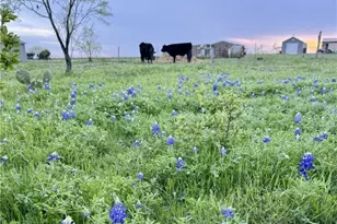 2332 2109, Lometa, TX 76550 - Photo 8