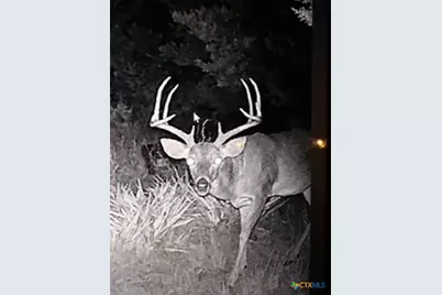 0 Tbd Us-183, Lometa, TX 76853 - Photo 4