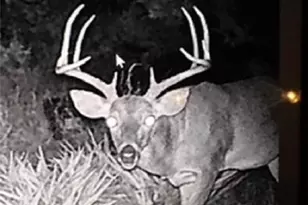 0 Tbd Us-183, Lometa, TX 76853 - Photo 4