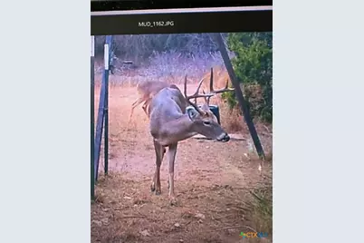 0 Tbd Us-183, Lometa, TX 76853 - Photo 1