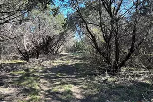 0 Tbd Us-183, Lometa, TX 76853 - Photo 30