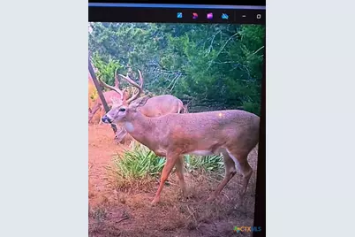 0 Tbd Us-183, Lometa, TX 76853 - Photo 2