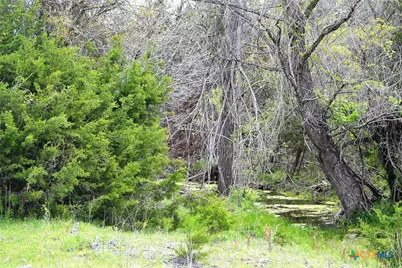 1290 County Road 4765, Kempner, TX 76539 - Photo 16