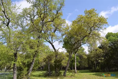 1290 County Road 4765, Kempner, TX 76539 - Photo 8