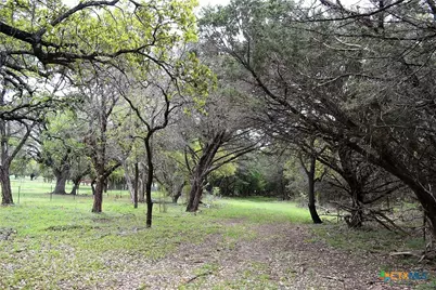 1290 County Road 4765, Kempner, TX 76539 - Photo 24