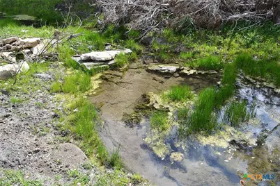 1290 County Road 4765, Kempner, TX 76539 - Photo 10