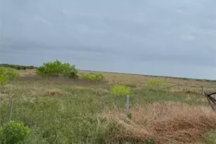 Tbd Old Seadrift Hwy, Port Lavaca, TX 77979 - Photo 22