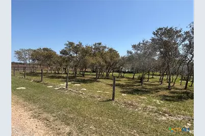 171 Deer Meadows Lane, Seadrift, TX 77983 - Photo 4