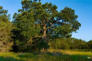 Tbd County Road 243, Florence, TX 76527 - Photo 48