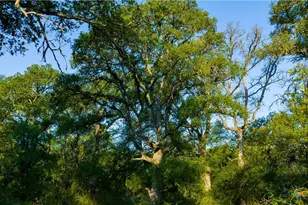 Tbd County Road 243, Florence, TX 76527 - Photo 44