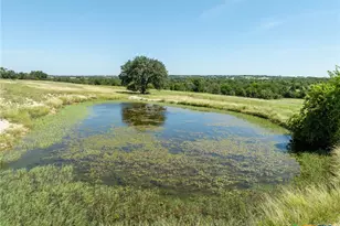 3485 Co Rd 530, Evant, TX 76525 - Photo 10