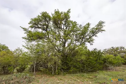 Tbd Logan's Way, Blanco, TX 78606 - Photo 8