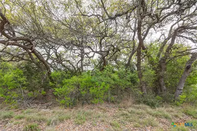 Tbd Logan's Way, Blanco, TX 78606 - Photo 22