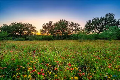 9738 E Fm1431, Marble Falls, TX 78654 - Photo 6