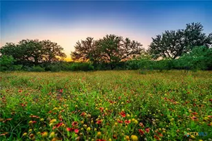 9738 E Fm1431, Marble Falls, TX 78654 - Photo 6