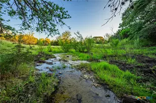 9738 E Fm1431, Marble Falls, TX 78654 - Photo 12