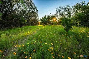 9738 E Fm1431, Marble Falls, TX 78654 - Photo 36