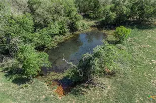 1222 O'Daniel School Rd, Seguin, TX 78155 - Photo 8