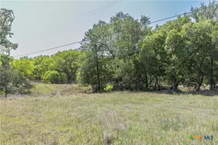 1222 O'Daniel School Rd, Seguin, TX 78155 - Photo 4