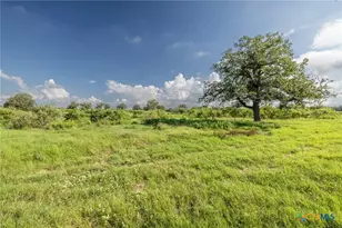 Lot 1-B County Road 491, Gonzales, TX 78629 - Photo 1