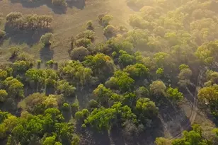 10655 E Trimmier Rd, Killeen, TX 76542 - Photo 16