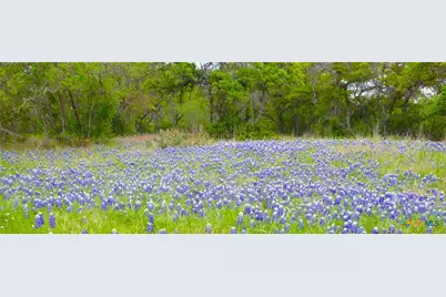 10655 E Trimmier Road, Killeen, TX 76542 - Photo 1