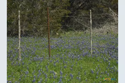 10655 E Trimmier Road, Killeen, TX 76542 - Photo 14