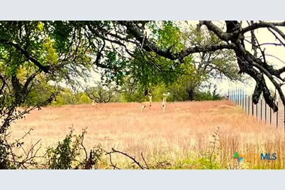 10655 E Trimmier Road, Killeen, TX 76542 - Photo 6