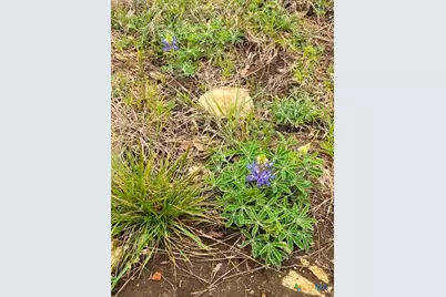 10655 E Trimmier Road, Killeen, TX 76542 - Photo 24