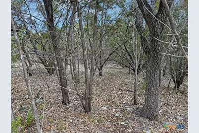 1081 Dog Leg Lane, Spring Branch, TX 78070 - Photo 1