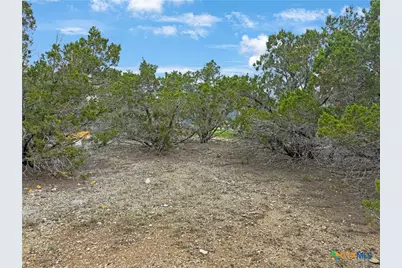 1081 Dog Leg Lane, Spring Branch, TX 78070 - Photo 4