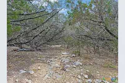 1081 Dog Leg Lane, Spring Branch, TX 78070 - Photo 6