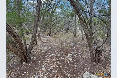 1081 Dog Leg Lane, Spring Branch, TX 78070 - Photo 2