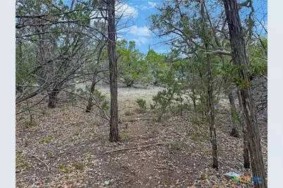 1084 Dog Leg Lane, Spring Branch, TX 78070 - Photo 2