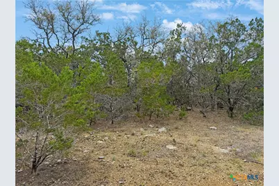 1084 Dog Leg Lane, Spring Branch, TX 78070 - Photo 8