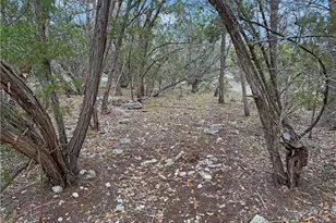 1084 Dog Leg Ln, Spring Branch, TX 78070 - Photo 1