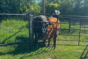 4321 & 4183 County Road 220, Gatesville, TX 76528 - Photo 46