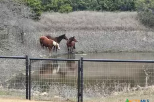 4321 & 4183 County Road 220, Gatesville, TX 76528 - Photo 30