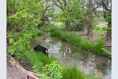 4321 & 4183 County Road 220, Gatesville, TX 76528 - Photo 4