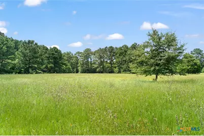 Tbd (Tracts 11 & 12) St Delight Road, Paige, TX 78659 - Photo 18