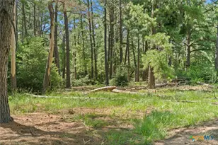 Tbd (Tracts 11 & 12) St Delight Rd, Paige, TX 78659 - Photo 24